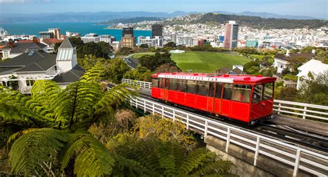 Windy Wellington is Wicked in the Wintertime