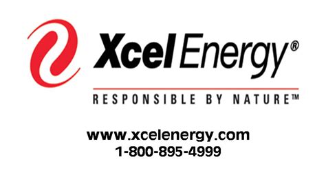 Xcel Energy touts success in Tex-Mex region