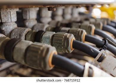 319 Gland wire Images, Stock Photos & Vectors | Shutterstock