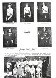 Cottonwood High School - Raider Yearbook (Cottonwood, MN), Class of 1973, Page 61 of 80