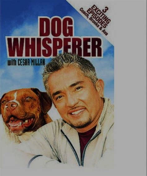 Dog Whisperer With Cesar Millan 3 Exciting Episodes DVD NEW Factory Sealed | eBay | Dog ...