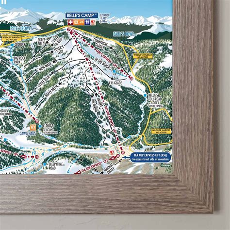 Vail Ski Resort | Trail Map Poster. Unframed, Framed, or Canvas Print – Mtns Co