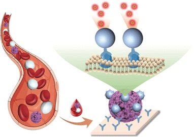 Direct detection of circulating tumor cells in blood samples