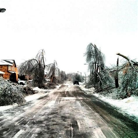 Ice Storm Aftermath (32 photos) | KLYKER.COM