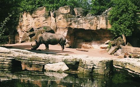 North Carolina Zoo - Chi-Co2N Mastorical