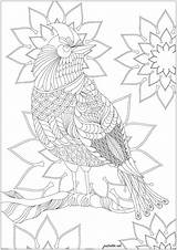 Oiseau Sur Une Branche  Coloriages DOiseaux à Imprimer Pour Adultes sketch template