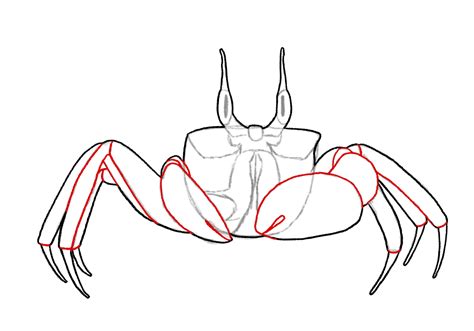 How to Draw a Crab | Design School