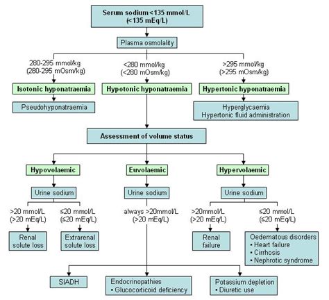 Hyponatremia System Disorder Template