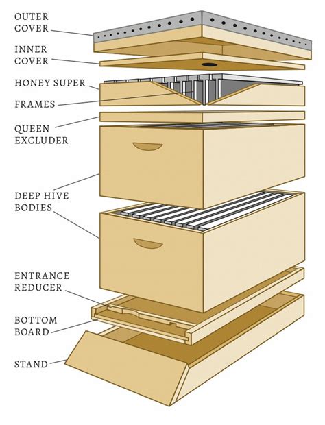 Some super tips on first time bee keeping and their homes! I can't wait to do this! I love honey ...