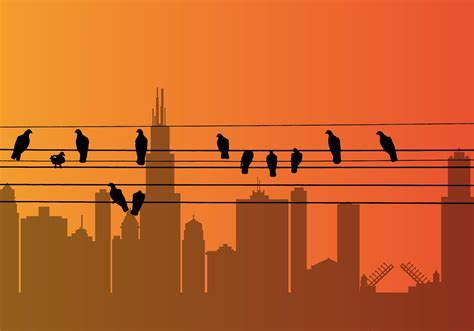 Vector Bird on a Wire 98618 Vector Art at Vecteezy