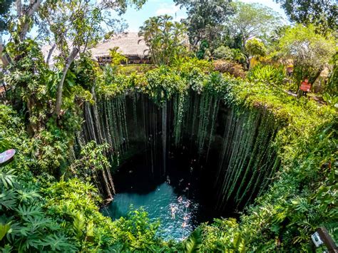 Diving into a Cenote | Mexico (Video) - Insanelymadadventures