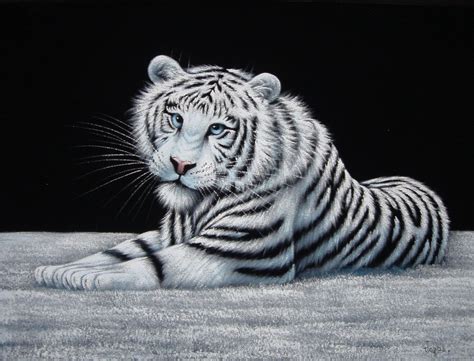 White tiger black velvet oil painting handpainted signed art | Oil ...