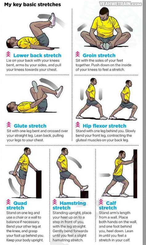 Top 7 Stretching Exercises - My Key Basic Stretches Healthy Fit ...