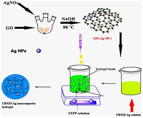 IJMS | Free Full-Text | Synthesis, Bioapplications, and Toxicity Evaluation of Chitosan-Based ...