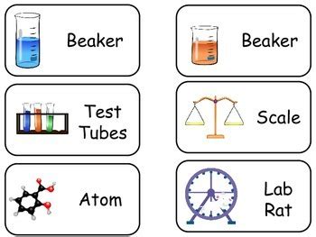 Science Flash Cards. Preschool Beginning Science flashcards. | TpT