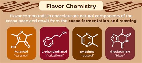 Valentine’s Day Chemistry: Three Fun Science Facts about Chocolate ...