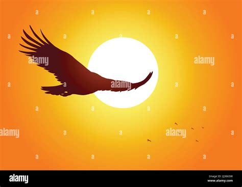 Silhouette illustration of an eagle soaring on sunset Stock Vector Image & Art - Alamy