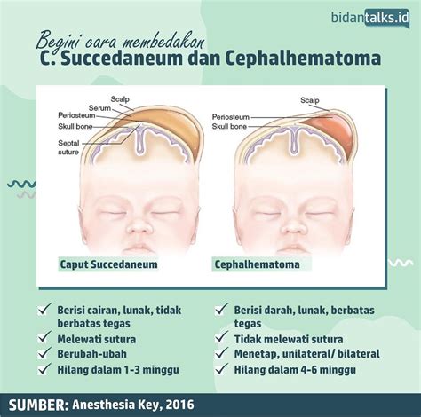 Caput Succedaneum Vs Cephalohematoma