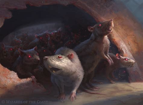 Suzanne Helmigh - Rat colony