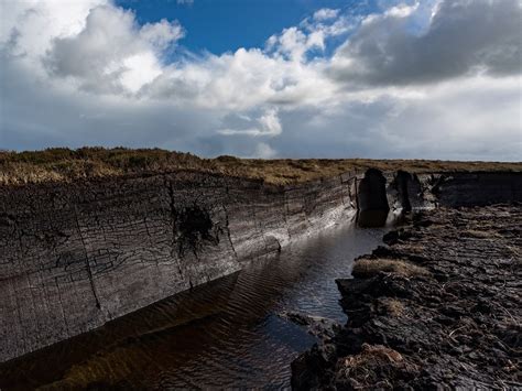 €126m Bord na Móna plan aims to store 100m tonnes of CO2 in peatland