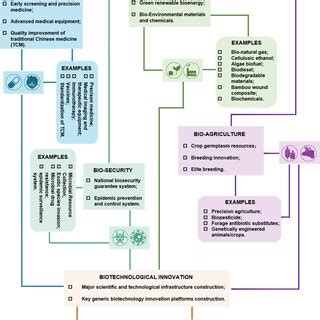 The roadmap of China bioeconomy: examples falling under the bioeconomy ...