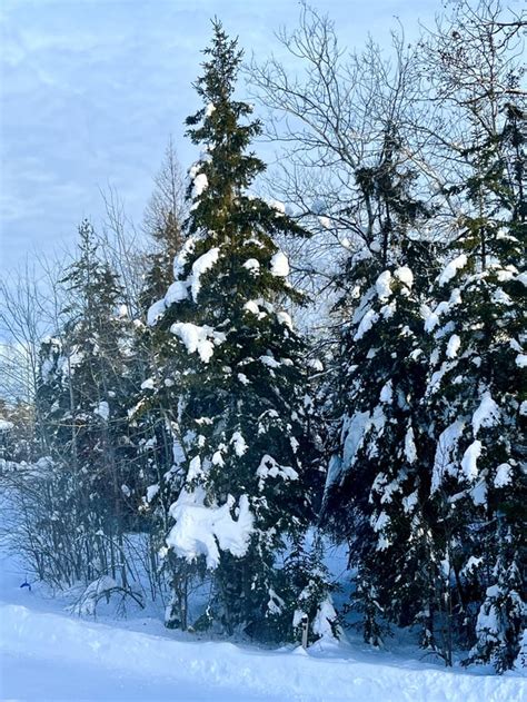 Wisconsin winter. : r/LandscapePhotos