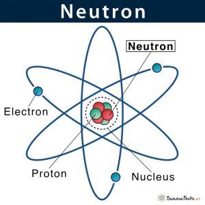 Neutron: Definition, Characteristics, & Location with Example