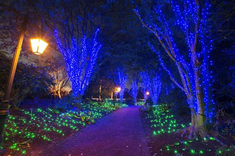 Lewis Ginter's Dominion GardenFest of Lights - Lewis Ginter Botanical Garden