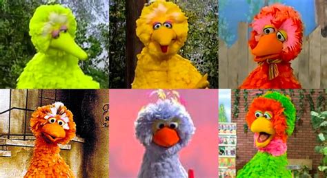 What Big Bird from Sesame St. looks like in other countries : r/Damnthatsinteresting