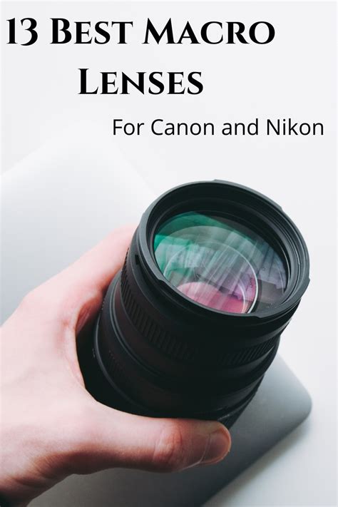 The 13 best macro lenses for Nikon and Canon DSLRs | Click and Learn Photography | Best macro ...