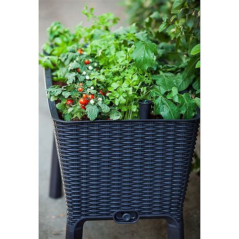 Keter Easy Grow Elevated Plastic Planter In Anthracite - Ideal for growing a variety of plants ...