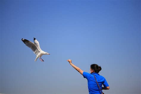 Woman Feeding a Bird · Free Stock Photo