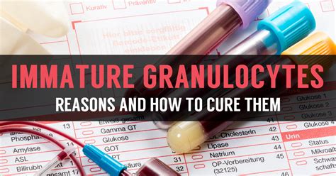 Reasons For Immature Granulocytes (IG) And Absolute Normal Range