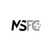 Home - MSFC - Mile Sterjovski Football Coaching