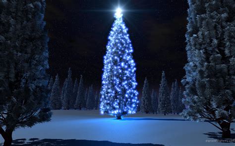 áƒ¦.glow Christmas Tree.áƒ¦ HD desktop wallpaper : Widescreen : High ...