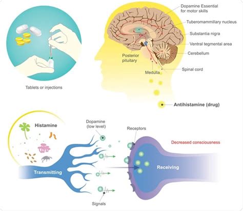 Antihistamine Side Effects: When to Stop Taking Allergy Medication – Regenerative Medical Group