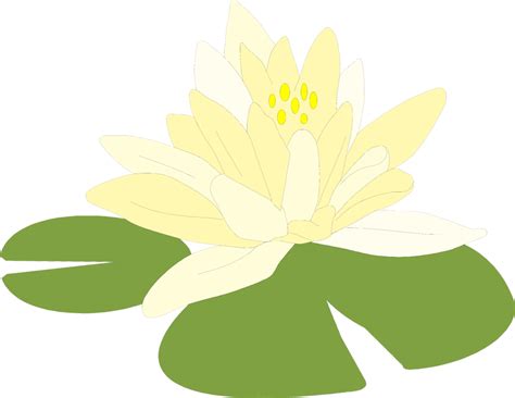 Lily Pad Flower Clip Art - ClipArt Best