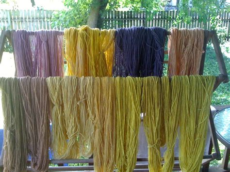 Adventures in Wonderland: Solar Natural Dyeing - wool