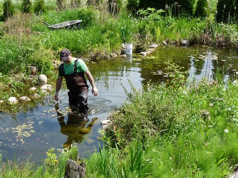 Pond Maintenance in 2021 | Pond maintenance, Ponds backyard, Pond landscaping