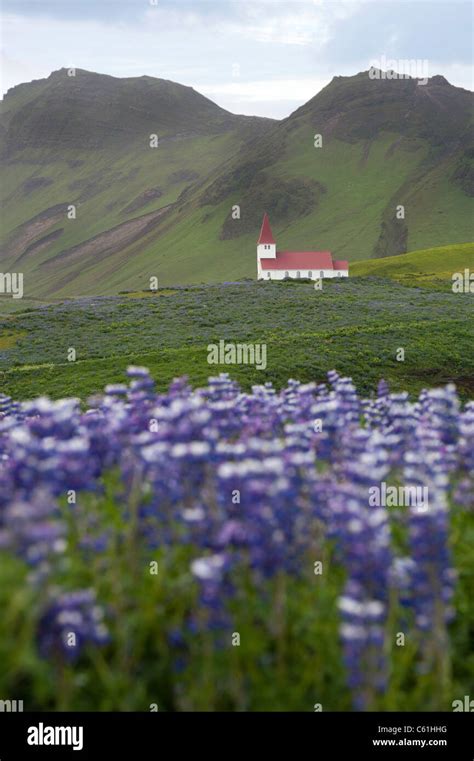 Small white church in Vik, Iceland Stock Photo - Alamy