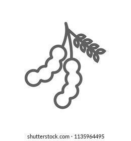 Tamarind Clipart Black And White