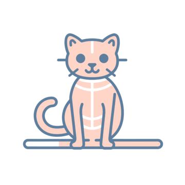 Cat Skeleton Sketch PNG Transparent Images Free Download | Vector Files ...