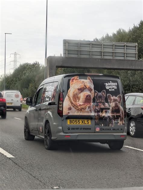 Scooby Doo's new van looks a bit different : r/okmatewanker