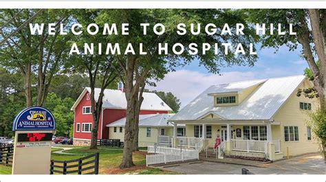 Sugar Hill Animal Hospital Tour 2021 - YouTube