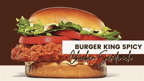 Burger King Spicy Chicken Sandwich Review with Price & Calories