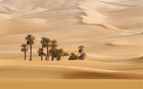 All About the Arabian Desert: Geography, Climate & More - MyBayut