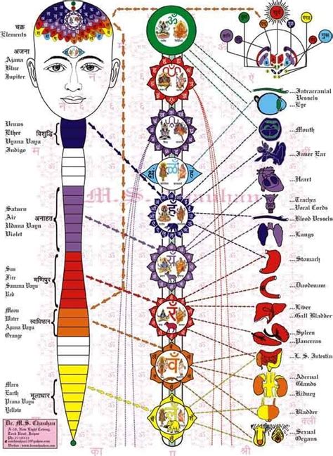 Chakra, Elements, Organs Manipura Chakra, Chakra Healing, Reiki Healing ...