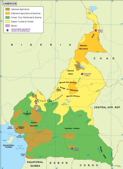 Cameroon vegetation map. EPS Illustrator Map | Vector World Maps