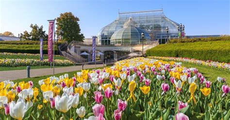 Phipps Conservatory Announces 2023 Winter Gala: Winter Wonderland ...