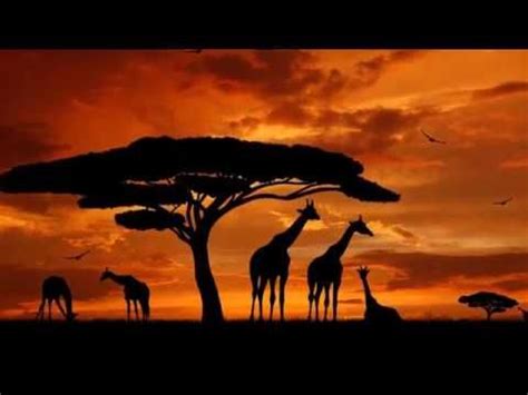 Bar Cart Styling Afrocentric Safari Fall decor | African giraffe, Giraffe silhouette, Africa